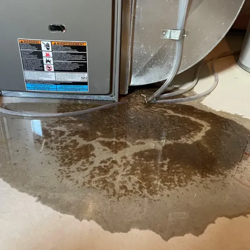 Appliance Leak Cleanup in Conshohocken, PA